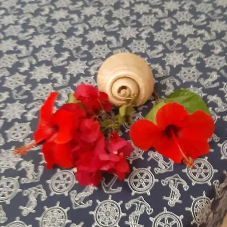 Kalispera Сasa de vacaciones